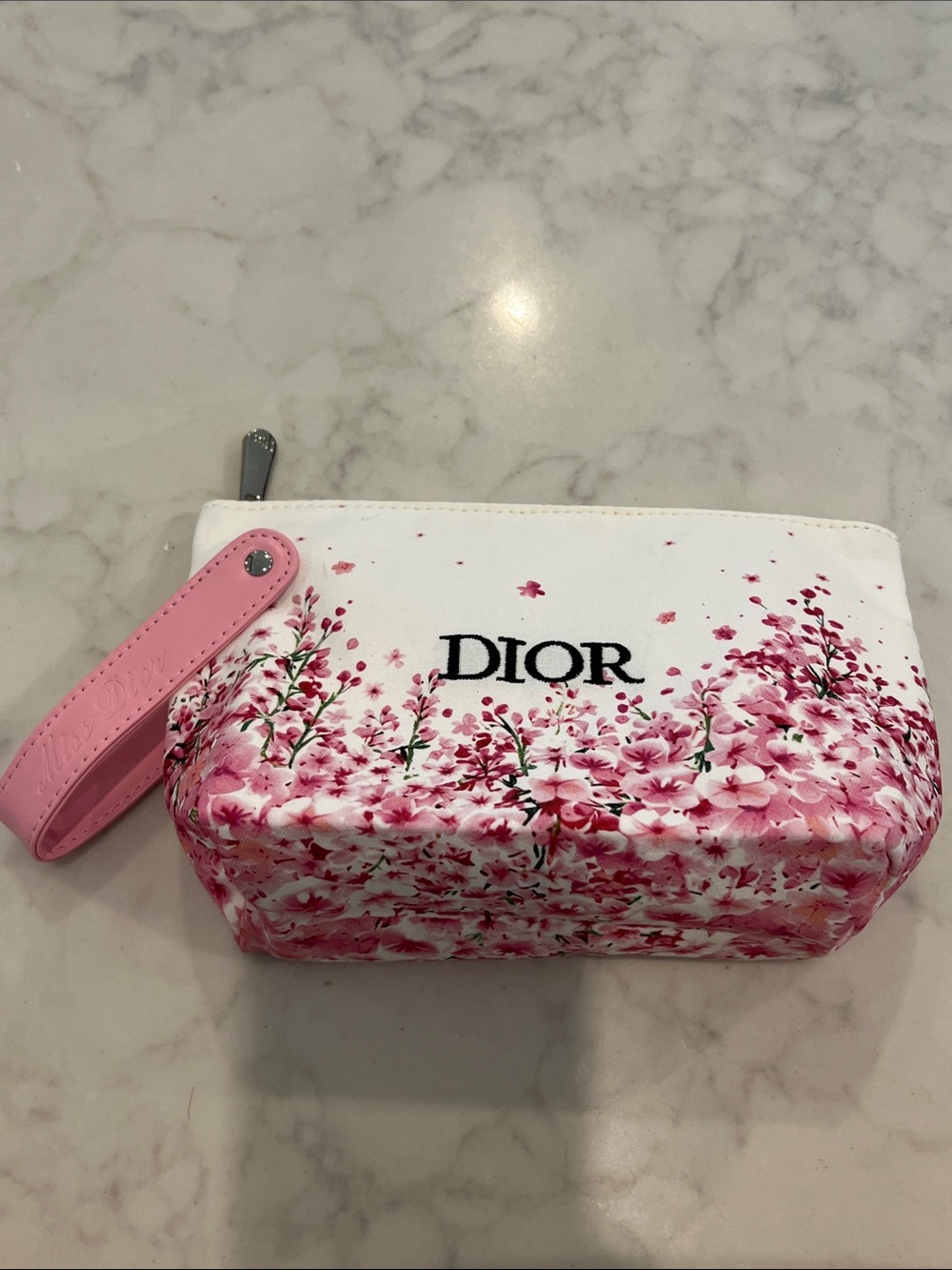 Dior cosmetic makeup bag GWP